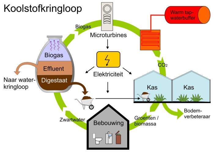 De zonneterp koolstofkringloop